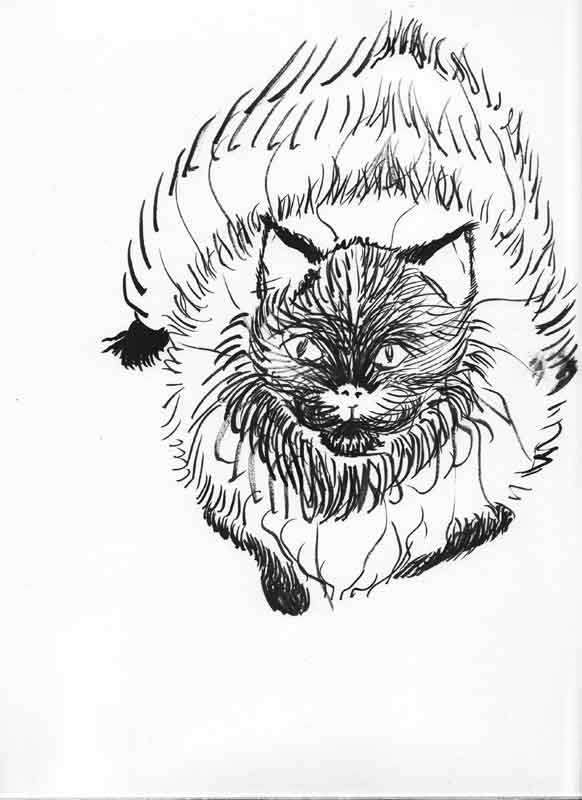 Spazzy cat ink sketch